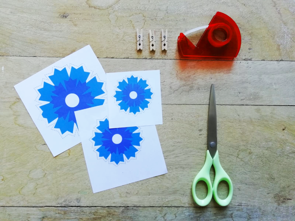 kit pour créer son bleuet